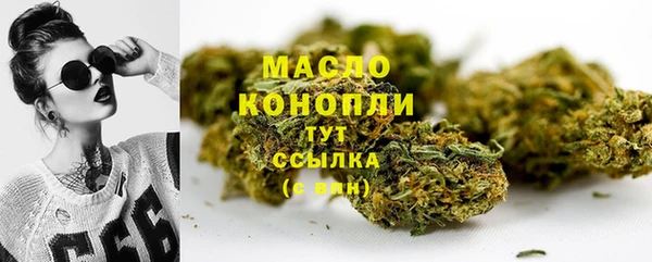 дживик Вязьма