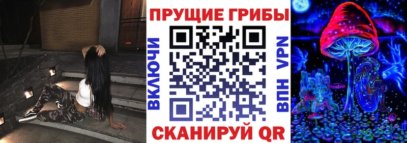 Купить  Каргат  Псилоцибиновые грибы GOLDEN TEACHER 