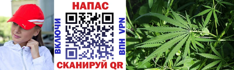 Купить  Каргат  Конопля VHQ 